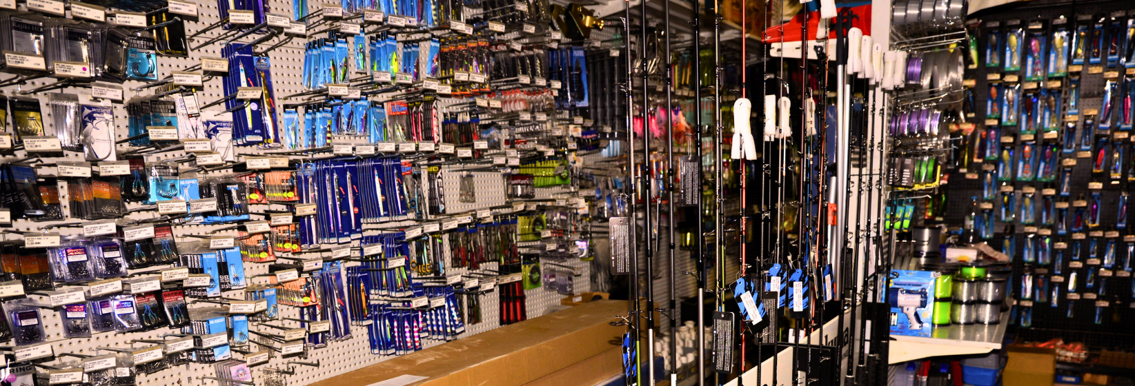 Back Store View